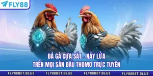 Đá Gà Cựa Sắt - Nảy Lửa Trên Mọi Sàn Đấu Thomo Trực Tuyến